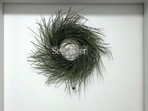 zielony trawiasty wieniec na białej ścianie w obiekcie Ferienwohnung SeeGräser Granitz w mieście Sellin