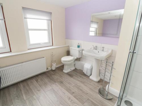a bathroom with a toilet and a sink and a mirror at Cobbleken in Cockermouth