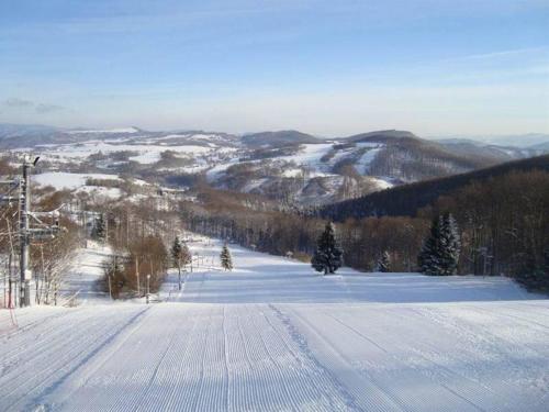 a snow covered slope with trees and mountains at Terezia in Jedľové Kostoľany