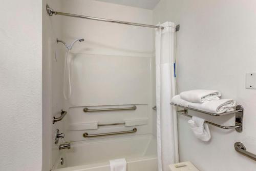 een badkamer met een douche en een bad bij Quality Inn Denver Tech Center in Englewood