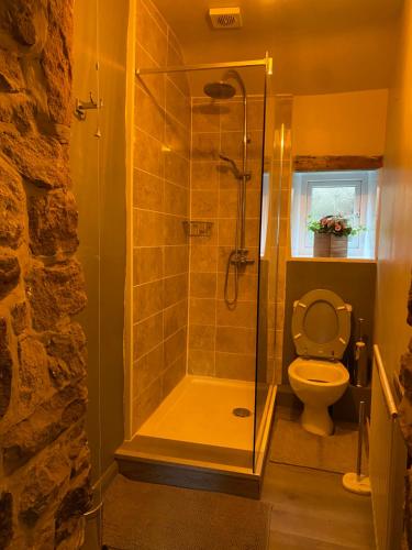 a bathroom with a shower and a toilet at Jasmine Cottage in Bakewell