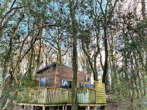 a wooden cabin in the middle of some trees at Tiny House-Hot Tub-St Clears-Pembrokeshire-Tenby in Carmarthen