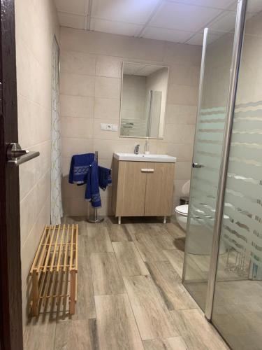 La salle de bains est pourvue d'un lavabo, d'une douche et de toilettes. dans l'établissement Vivienda rural Vega del Guadalquivir, à Villacarrillo