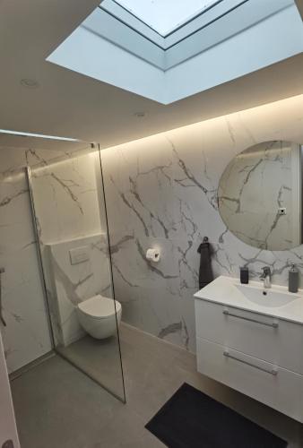 a bathroom with a toilet and a sink and a mirror at Apartment Oliver in Rijeka