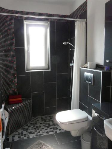 a bathroom with a toilet and a shower and a window at Ferienwohnungen Bei Anne in Saarburg