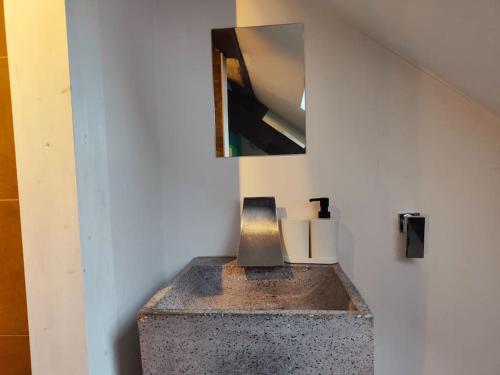 a sink in a room with a mirror on a wall at Charmant Duplex Rue Colbert in Tours