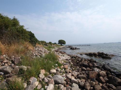 a large group of rocks on the shore of a body of water at Holiday Home Sissela - 5m from the sea by Interhome in Ebberup