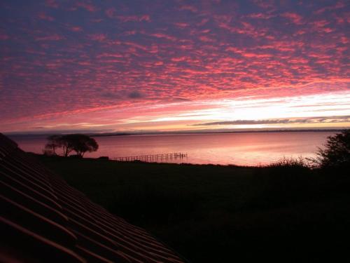 a sunset over the water with a fence and a tree at Holiday Home Sissela - 5m from the sea by Interhome in Ebberup