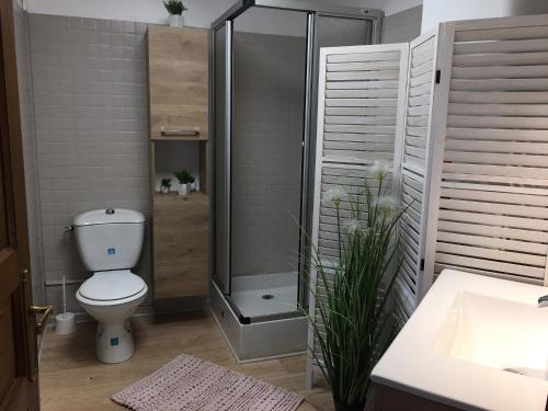 a bathroom with a shower and a toilet and a sink at La maisonnette des champs in Pierre-Buffière