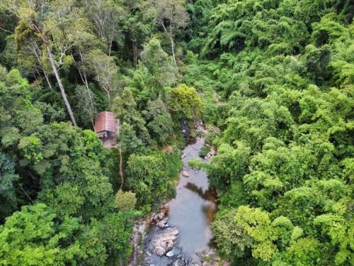 an aerial view of a river in a forest at Jar rai village homestay& Sona trekking tour in Banlung