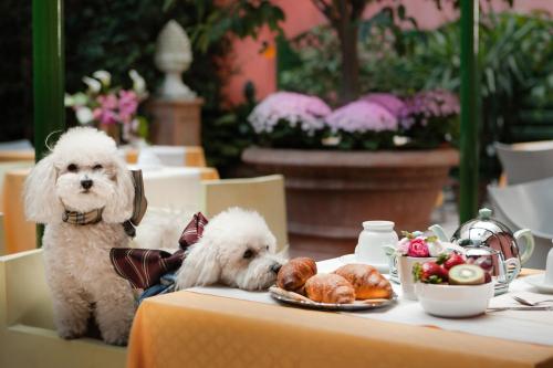 two dogs sitting at a table with food on it at Hotel Palazzo dal Borgo in Florence