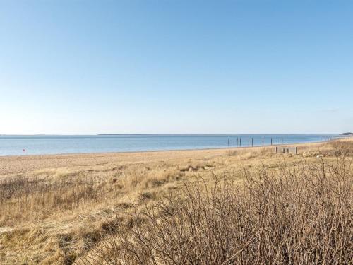 En strand vid eller i närheten av lägenheten