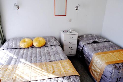 Ένα ή περισσότερα κρεβάτια σε δωμάτιο στο Braemar Motor Inn