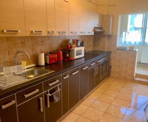 cocina con fregadero y microondas en JAD - Family Apartments - Zorilor, en Brasov