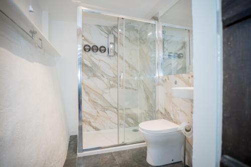 a bathroom with a shower and a toilet at Tottington Manor Hotel in Henfield