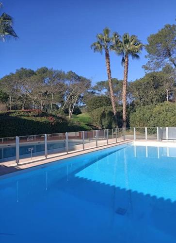 uma grande piscina azul com palmeiras ao fundo em Magnifique studio avec piscine em Mouans-Sartoux