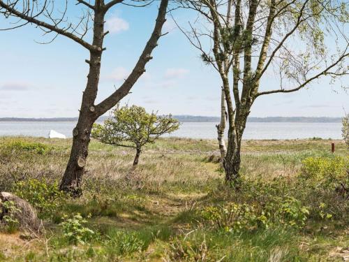 Příroda nedaleko prázdninového domu