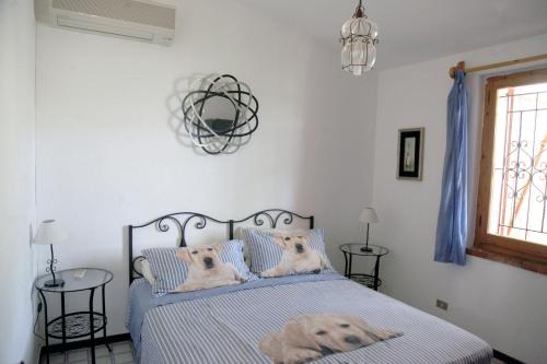 - deux chiens dormant sur un lit dans une chambre dans l'établissement Villa Olivastro, à Torre delle Stelle