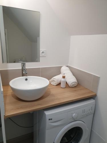 uma casa de banho com um lavatório e uma máquina de lavar roupa em Plume - Dormir Comme A La Maison em Guérande
