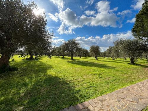 un campo de césped con árboles y un cielo azul en Casa del Mate, en Alghero