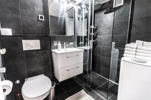 a bathroom with a toilet and a shower and a sink at Perfect apartment Montreux centre - Lake View in Montreux