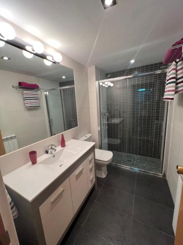 ein Bad mit einem Waschbecken, einem WC und einer Dusche in der Unterkunft Apartamento Muga in Jaca