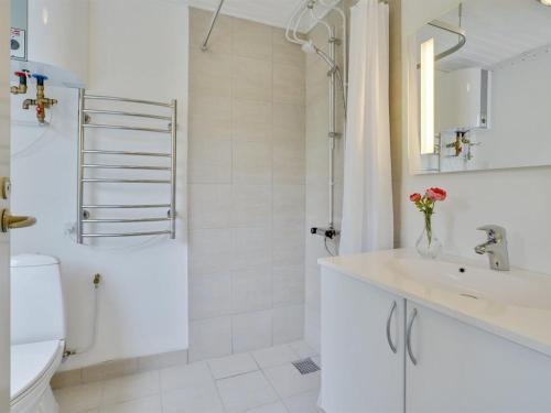 a bathroom with a shower and a sink and a toilet at Holiday Home Soraya - 700m to the inlet by Interhome in Løgsted