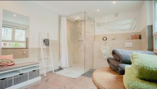 ein Bad mit einer Dusche und einem WC. in der Unterkunft fewoflagmeier Kohlstetten II Alte Schreinerei in Kohlstetten