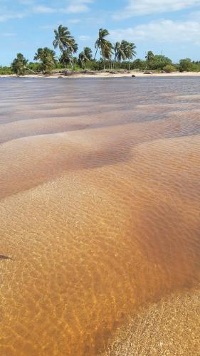 a body of water with palm trees in the background at Vila Sol Chalés in Pôrto de Pedras