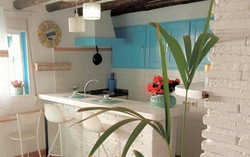 a kitchen with blue cabinets and a counter with a plant at Escapada al sur in Frigiliana