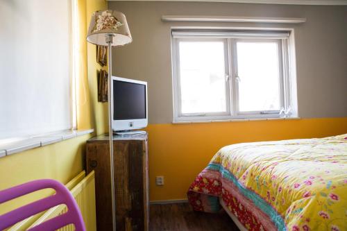 
a bedroom with a television and a bed at Domburg4you in Domburg
