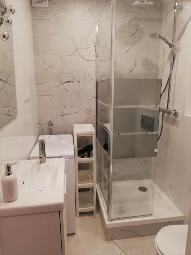 a bathroom with a glass shower and a sink at Apartamencik Perełka in Skoczów