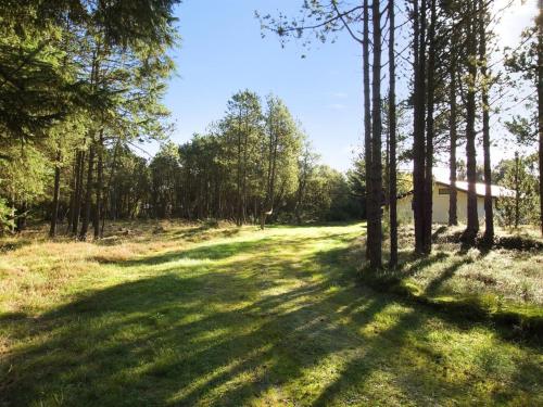een veld met bomen en een huis op de achtergrond bij Holiday Home Hakan - all inclusive - 4km from the sea by Interhome in Ålbæk