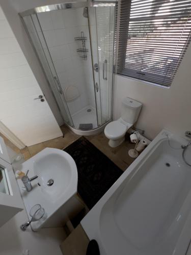 a bathroom with a white sink and a toilet at Orangerie Guest House in Johannesburg