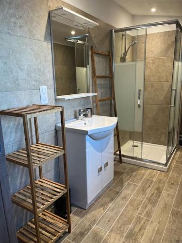 une salle de bain avec un lavabo et une douche dans l'établissement Maison de charme au bout du CAP CORSE, à Ersa