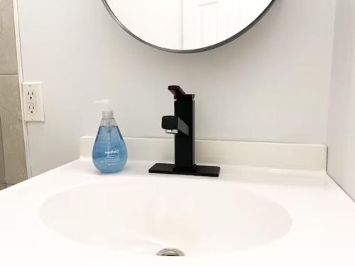 a bathroom sink with a blow dryer and a mirror at Lake Superior Boutique Hotel in Thunder Bay