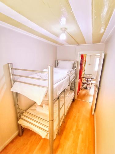 Bunk Bed in Female Dormitory Room