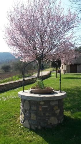 a tree with pink flowers on top of a stone wall at Azienda Agrituristica I Tre Casali in Magione