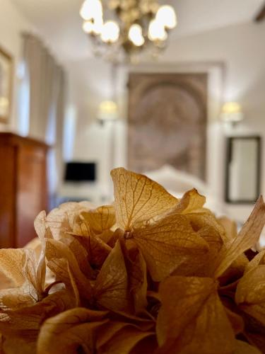 Cestello Luxury Rooms