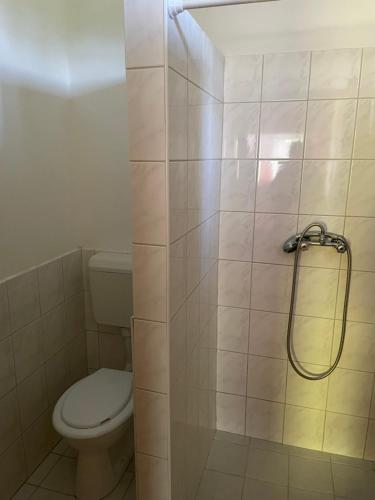 Zsuzsa Apartman في بوروشلو: حمام مع مرحاض ومقصورة دش