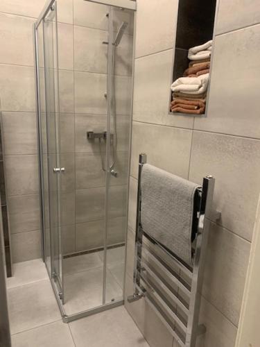 uma casa de banho com uma cabina de duche em vidro e uma toalha em Apartmán Bubeneč em Praga