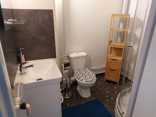 Le Polletにあるcharmant studio proche du centre de neuville les dieppeのトイレと洗面台のある小さなバスルーム