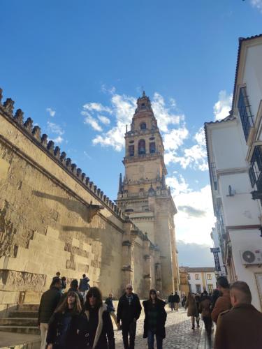 La Casa de la Mimosa