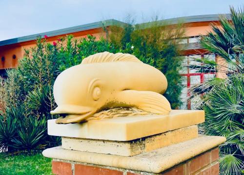 Gallery image of Regina Del Mare Holiday Apartments in Tirrenia