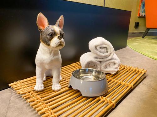 斯德哥爾摩的住宿－ProfilHotels Nacka，一只小狗站在一个装有一碗水的托盘上