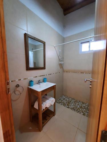 een badkamer met een wastafel en een spiegel en een douche bij Finca Los Racimos - Casa Syrah in San Rafael