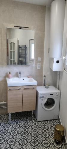 uma casa de banho com uma máquina de lavar roupa e um lavatório em Logement cosy centre Loches em Loches