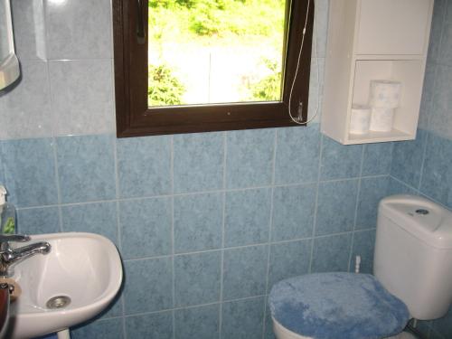 a bathroom with a sink and a toilet and a window at Dom nad Jeziorem in Rasząg