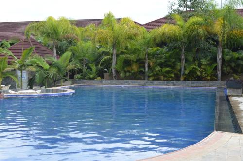 a large swimming pool with palm trees in the background at Palm Kalash Hotel in Lusaka