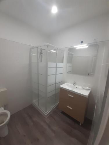 une salle de bain avec une douche, un lavabo et des toilettes dans l'établissement appartement 45m2 parking gratuit en plein centre ville, à Valras-Plage
